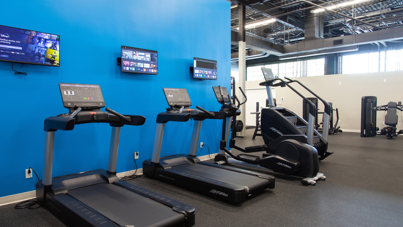 QLabs gym - cardio equipment